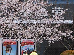 -麦当劳(无锡永乐店)