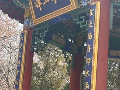 -桃花堤公园