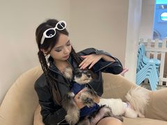 -怪兽屋·羊驼·猫咖·狗咖(俊华广场店)