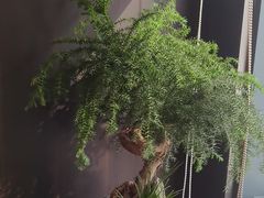 -大拙里·精致融合菜(沙湖桃源国际店)