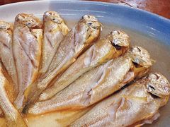 -魚當家