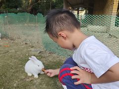 -广东花都香草世界旅游度假区