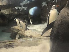 -波塞冬海底世界