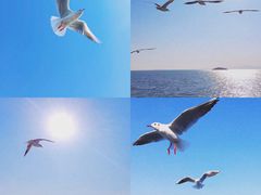 -大理洱海