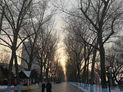 -人民防洪胜利纪念塔