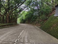 -大雁山风景区