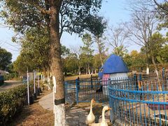 -上海滴水湖皇冠假日酒店