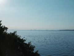 -万绿园