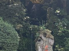 -杭州黄龙洞