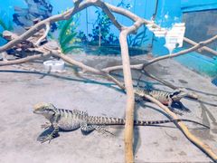 -石家庄市动物园