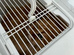 -纳吉亚猫专科动物诊疗中心(蒋宅口分院)