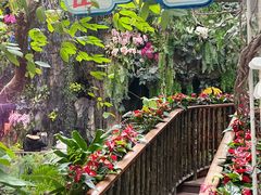 -正佳雨林生态植物园