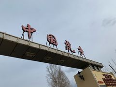-横道河子东北虎林园