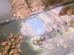 -李老五口水鸡(万寿路店)