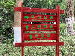-火炉山森林公园
