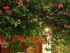 -Cuc Gach Quan Restaurant