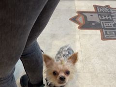 -纳吉亚猫专科动物医院·北北分院