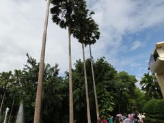 -中国科学院西双版纳热带植物园