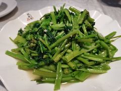 -阿英煲(凉城路店)