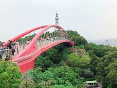 景点-金鸡山公园