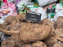 -大象粑粑造纸公园