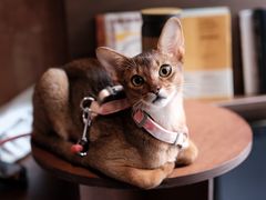 -Onirii Coffee(长乐路店)