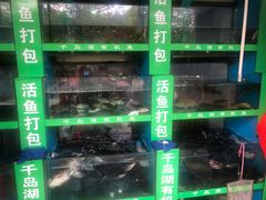 -全乐鱼馆·淳牌有机鱼直营店