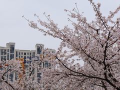 -龙美术馆(西岸馆)