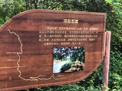 -海南热带雨林国家公园吊罗山景区