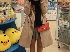 -台场海滨公园船码头
