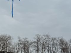-春花秋色城市公园