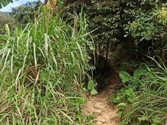 -梧桐山风景名胜区