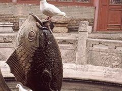 -西安大兴善寺