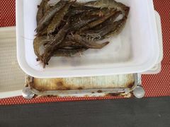 -渔民船说·北塘海鲜·天津菜·海肠捞饭(北塘古镇店)