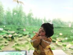 -同里国家湿地公园