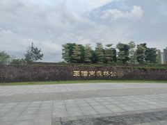 -王借岗森林公园