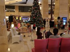 -北京首都机场希尔顿酒店