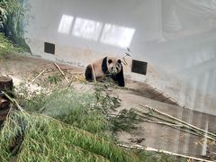-杭州动物园