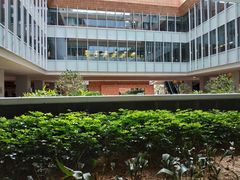 -香港大学