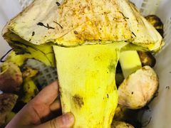 -双喜农庄·菌香园(安居家园店)