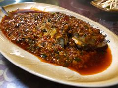 豆瓣鱼-青城甲(青城山店)