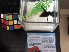 -扬州东关街文昌阁桔子水晶酒店
