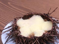 -海胆小馆(东北水饺·春柳店)