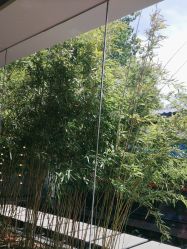 -爱儿美儿童摄影(朝阳公园店)