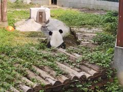 -南昌动物园