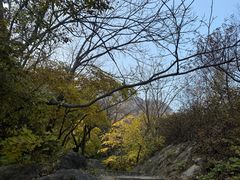 -北京凤凰岭