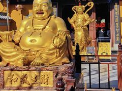 -野蔓果·山野菜(西湖景区·龙井茶田店)