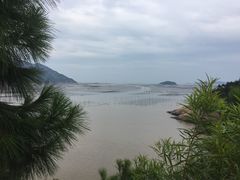 -北岐滩涂
