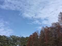 -华南国家植物园-售票处