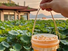 -炖物24章·顺时轻养茶(杭州大厦店)